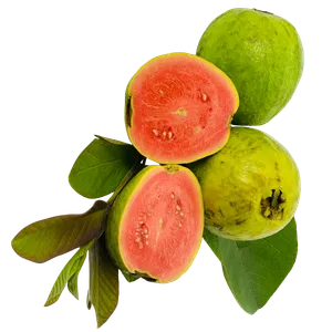 goyaves-roses-et-vertes Quatre goyaves, dont deux entières (une verte, une jaune-vert) et deux coupées en deux, révélant une chair rose vif et des pépins.